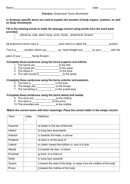 Anatomical Directional Terms Worksheet - Bluegreenish
 Anatomy Directional Terms Worksheet