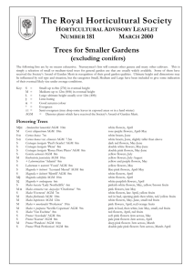 Trees for Smaller Gardens