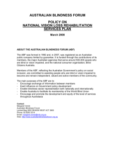 National Vision Loss Rehabilitation Services Plan