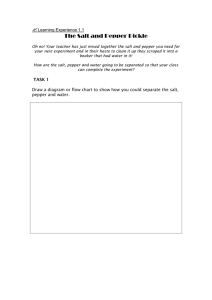 1.1 learning experience worksheet (doc 40 KB)