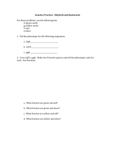 Genetics Practice: Dihybrid and Backwards For these problems, use