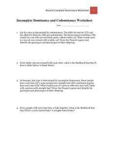 Worksheet: Incomplete Dominance and