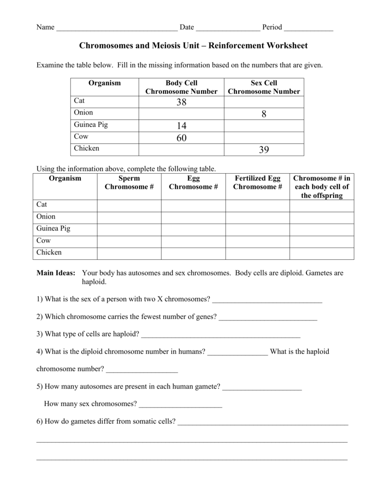 worksheet Mendel And Meiosis Worksheet Answers Worksheet Fun