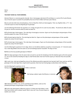 Punnett Square Practice Worksheet