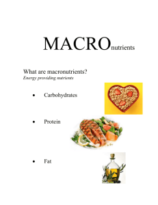 MACROnutrients - Seward Wellness
