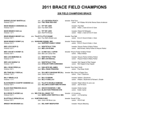 2011 field champions - American Brace Beagling Association