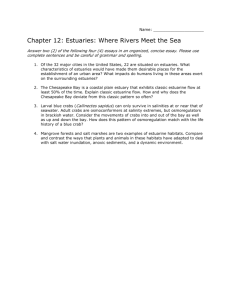 Name: Chapter 12: Estuaries: Where Rivers Meet the Sea Answer
