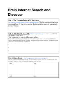 Brain Internet Search and Discover
