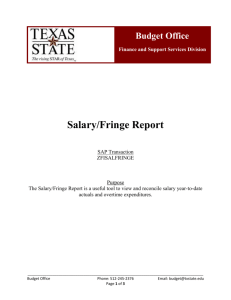 Salary/Fringe Report Instructions