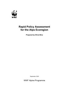 Policy Assessment