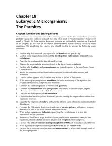 Chapter 18: Eukaryotic Microorganisms