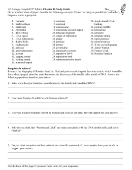 DNA Replication Worksheet