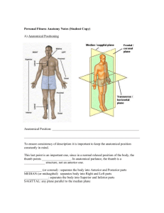 Personal Fitness Anatomy Notes (Student Copy)