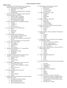 Muscle Physiology Worksheet - Roden's Anatomy & Physiology