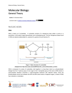 molecular_general_theory_nucleic_acids