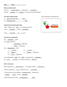 DNA and RNA Guided Notes What are Nucleic Acids? Structure