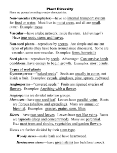 Types of seed plants - Southington Public Schools