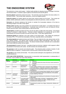 Endocrine System Worksheet Key