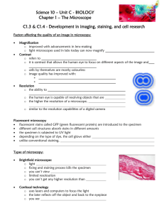 File - Mr. Downing Science 10