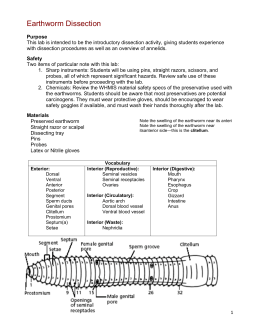 earthworm dissection analysis questions lab earthworm dissection earthworm dissection analysis questions lab earthworm dissection