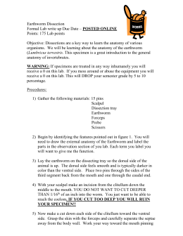 earthworm dissection observations observation external anatomy earthworm dissection observations observation external anatomy