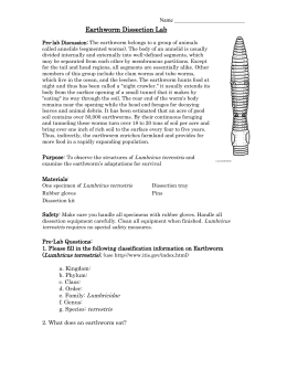 earthworm dissection holt earthworm dissection earthworm dissection holt earthworm dissection