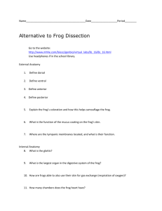Alternate to Frog Dissection Number 2