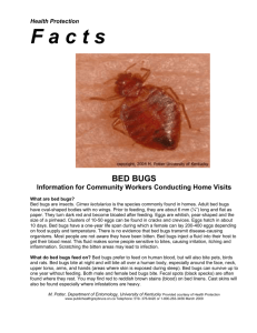 Bed_Bug_Community_Fact_Sheet2