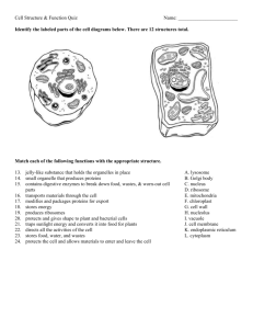 Cell Structure & Function Quiz