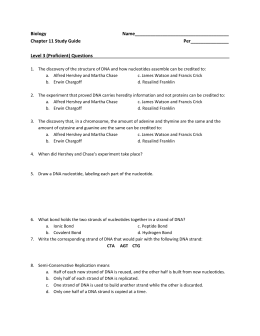 DNA REPLICATION WORKSHEET