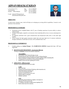 Professional Resume - Mint International