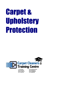Precedent Carpet & Upholstery Protector