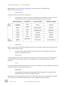 Classification worksheet WORD
