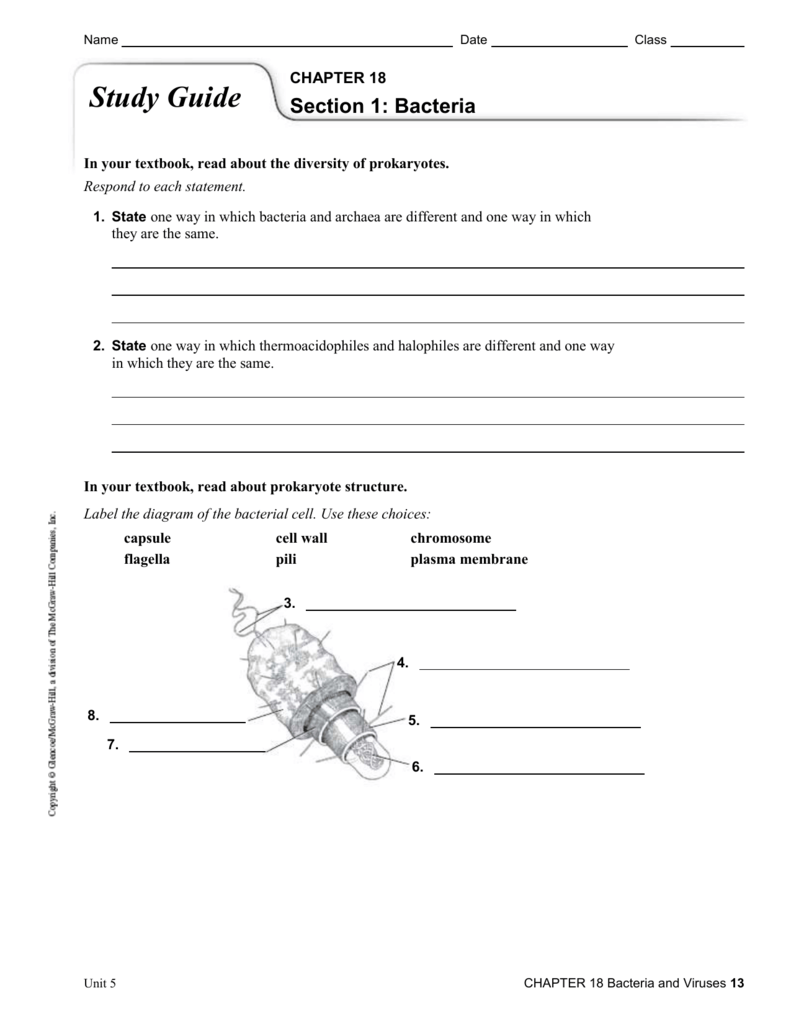 Viruses Bacteria And Your Health Worksheet Answer Key Naturalard