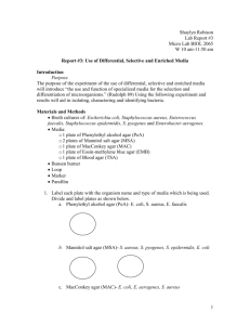 Microbiology Lab Report 3