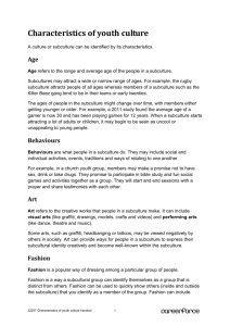 Characteristics of youth culture handout