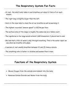 The Respiratory System Fun Facts