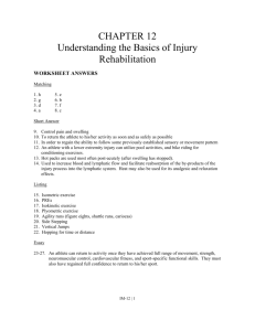 Understanding the Basics of Injury Rehabilitation