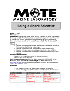 Marine Mammal Discovery - Mote Marine Laboratory