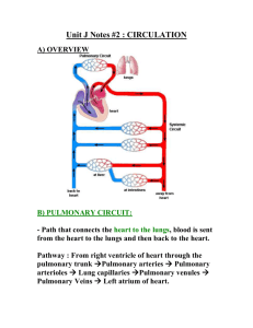 Unit J Notes #2 Pulmonary and Systemic Circulation