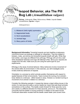 Animal Behavior Lab Ap Bio