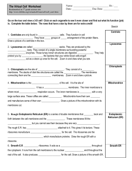 Worksheets The Virtual Cell Worksheet Answers virtual cell worksheet answers sharebrowse centriole lysosomes chloroplasts mitochondrion endoplasmic