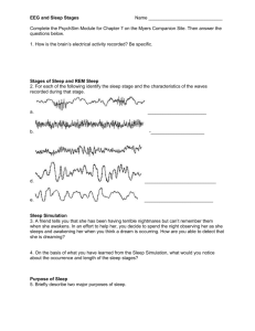 EEG and Sleep Stages