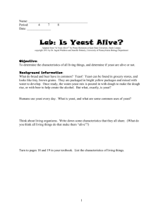 Is Yeast Alive - Unger-Bio