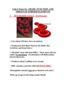 Unit J Notes #4 - SHAPE, FUNCTION AND ORIGIN OF BLOOD CELLS