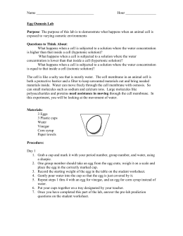 Lab - Eggsperiment Formal Lab Report Requirements & Checklist