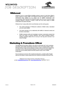 Marketing & Promotions Officer