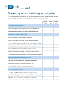 Marketing on a shoestring action plan