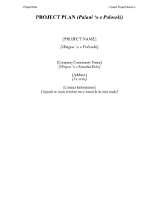 IT Project Plan Template Version 0.3