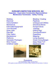 DISI Brochure - Durham's Inspection Services, Inc.